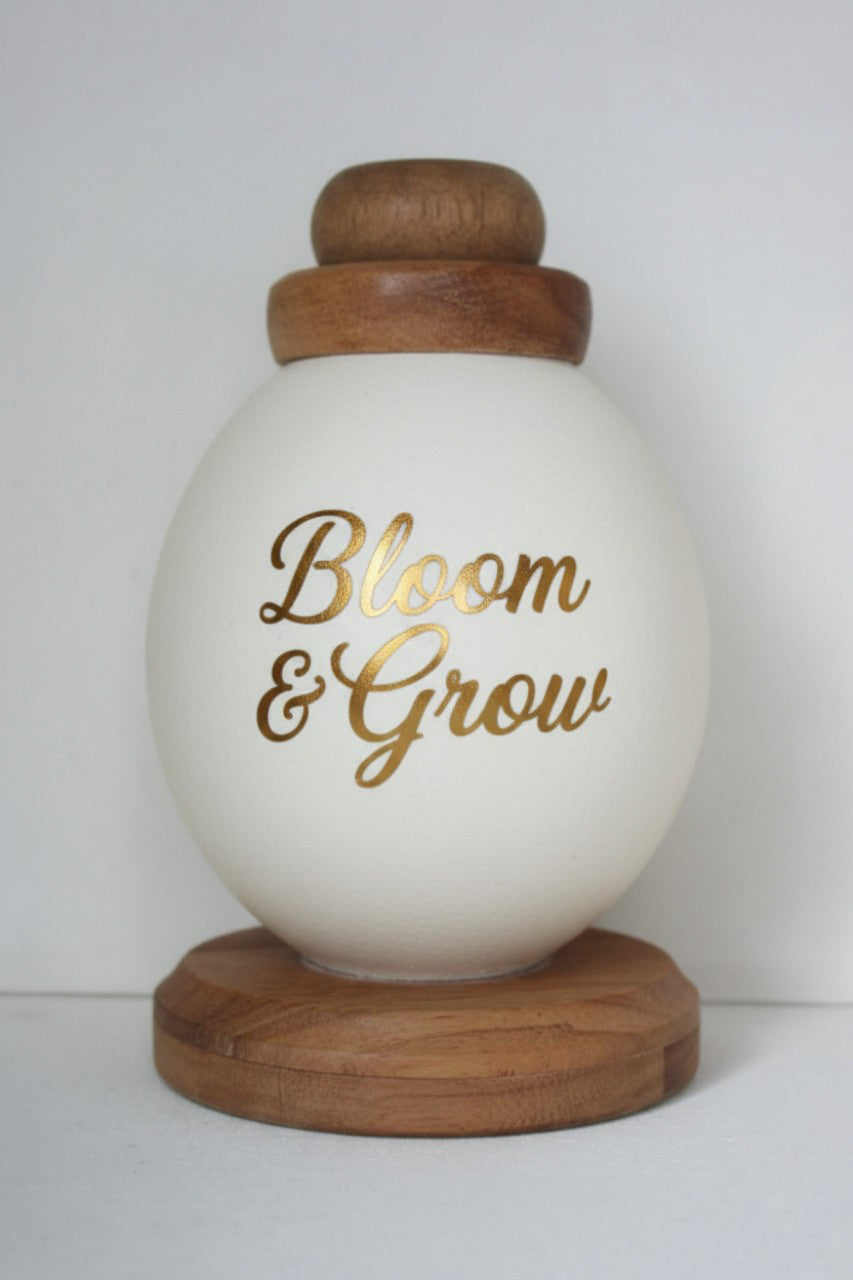 Ostrich egg Bloom & Grow