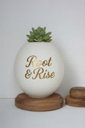 Ostrich egg Succulent planter