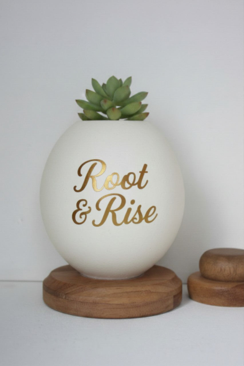 Ostrich egg Succulent planter
